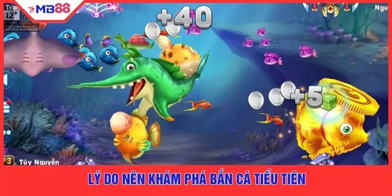 Lý do nên khám phá bắn cá tiểu tiên
